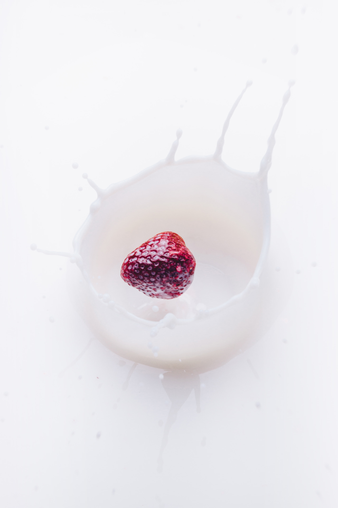 Nourish Your Body Dana Bledsoe